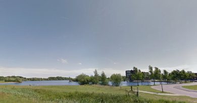 Geen recreatie, maar koeien bij de Oostplas. Gemeente sluit strand en er komt een gebiedsverbod Geen recreatie, maar koeien bij de Oostplas. Gemeente sluit strand en er komt een gebiedsverbod