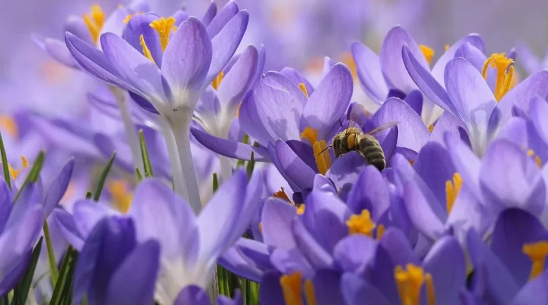 Meer natuur op eigen grond?